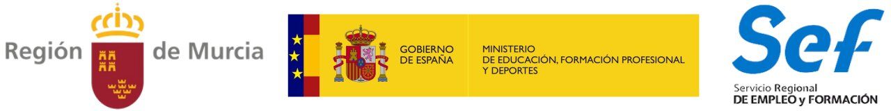 Banner AVANZA